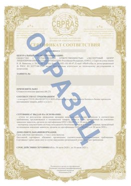 Образец Сертификат СТО 01.064.00220722.2-2020 Рубцовск Сертификат СТО 01.064.00220722.2-2020 